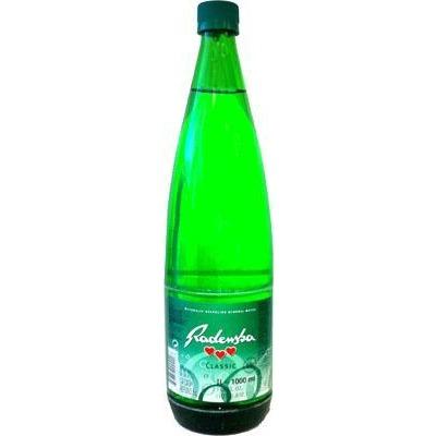 Radenska Mineral Water 1l | M&G Bakery